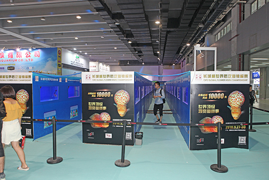 1603869763122989.jpg 2.jpg